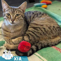 Photo of Xia