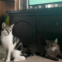 Photo of Ellie & Munchie