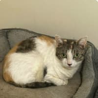 Photo of Vera