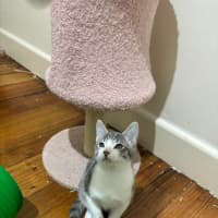 Photo of Leopold