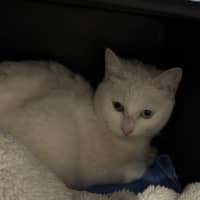 Photo of Peggy