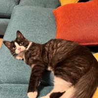 Photo of Zipper