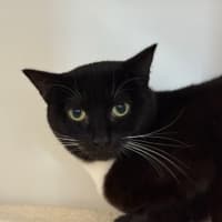 Photo of Maggie