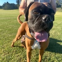 Photo of Tyson