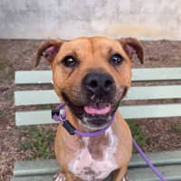 Photo of Buddy