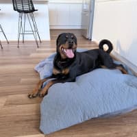Photo of Murphy