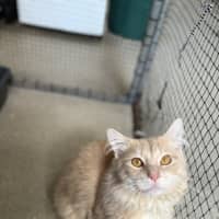 Photo of Buddy