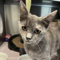 Photo of Etta