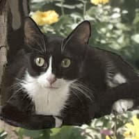 Photo of Carol (8905)