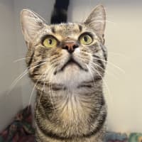 Photo of Spud