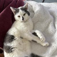 Photo of Victor
