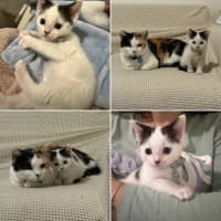 Photo of Margo (With Josie)