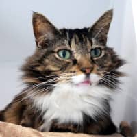 Photo of Thelma Sua015754