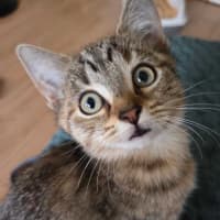 Photo of Emma