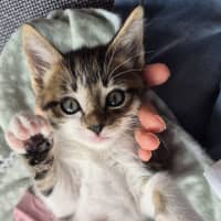 Photo of Amber & Arlee 🌷🌷