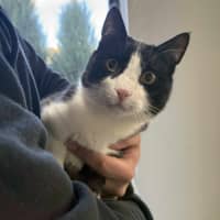 Photo of Pishi & Maloos