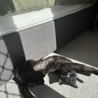 Photo of Merp (Previously Leanne) 