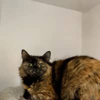 Photo of Mia