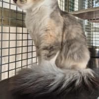 Photo of Spring! 🌷