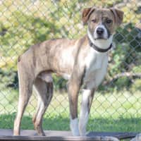 Photo of Chase