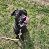 Photo of Freya (66828)