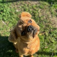 Photo of Walter 