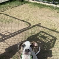 Photo of Annie