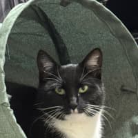 Photo of Nori