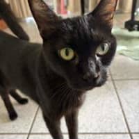 Photo of Penny