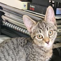 Photo of Little Bean