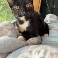 Photo of Wednesday 