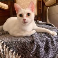 Photo of Princess Ciri 