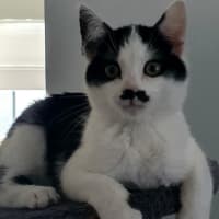 Photo of Ethan
