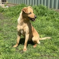 Photo of Miss. Ridgee