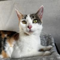 Photo of Daisy