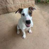 Photo of Harley