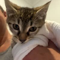Photo of Ziggy