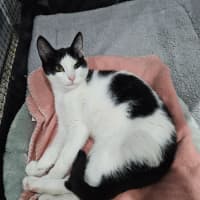 Photo of Mina