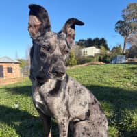 Photo of Mable 