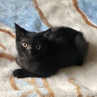 Photo of Tommy Turbo