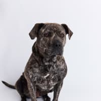 Photo of Milly