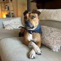 Photo of Chloe Haliwell