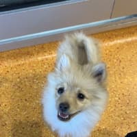 Photo of Gatsby