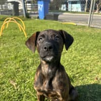 Photo of Coco