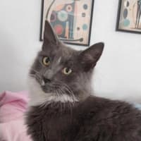 Photo of Greyson 💙