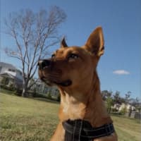 Photo of Zuri