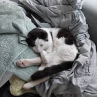 Photo of Lenny