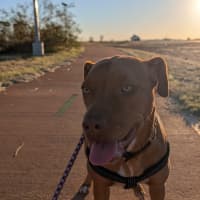 Photo of Tess