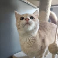 Photo of Maryanne