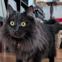 Photo of Truffles